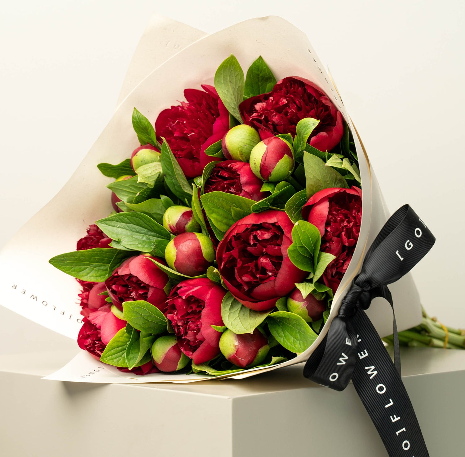 Red Charm Peony