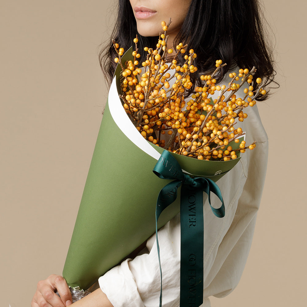 Orange Ilex