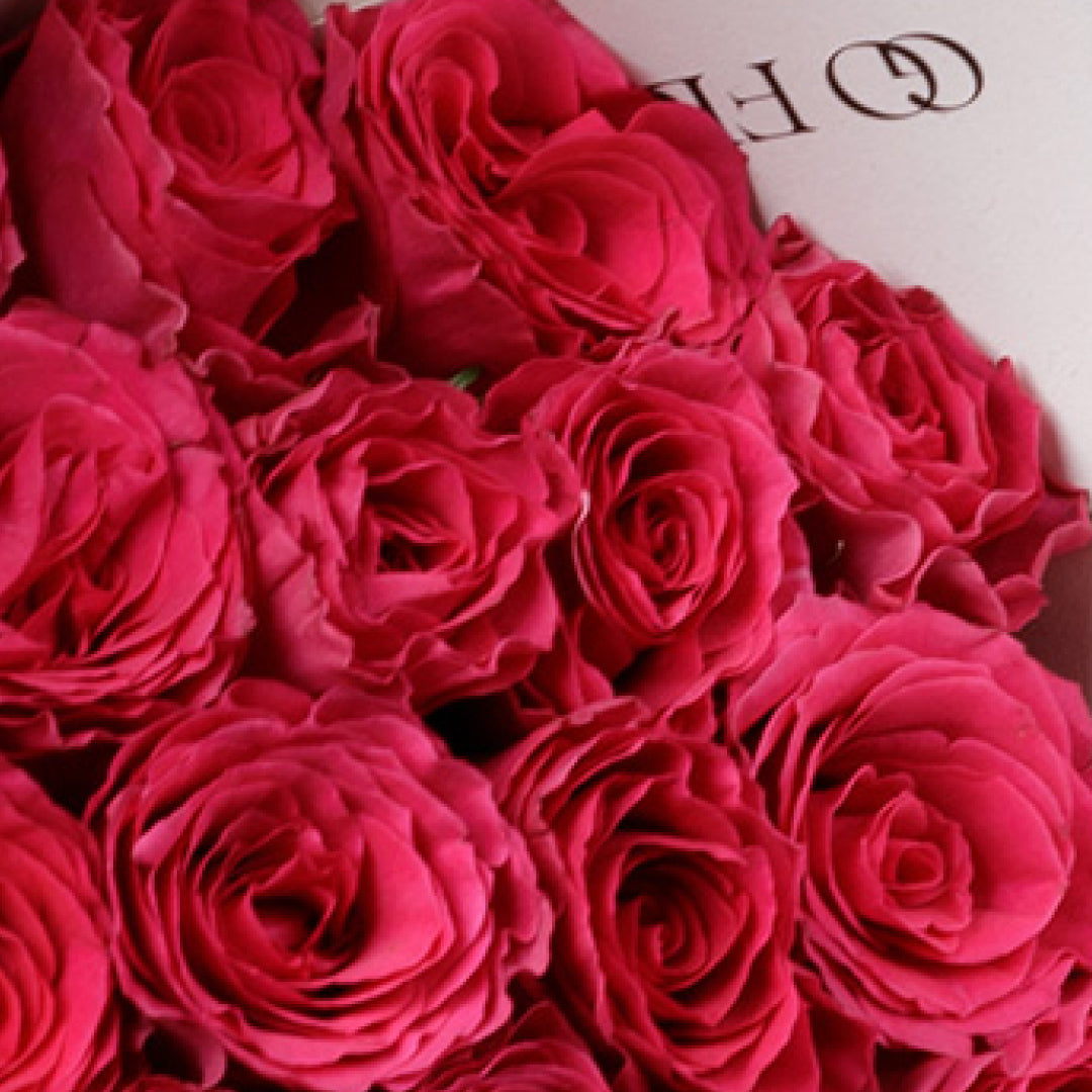 2 Dozen Crazy in Love Roses