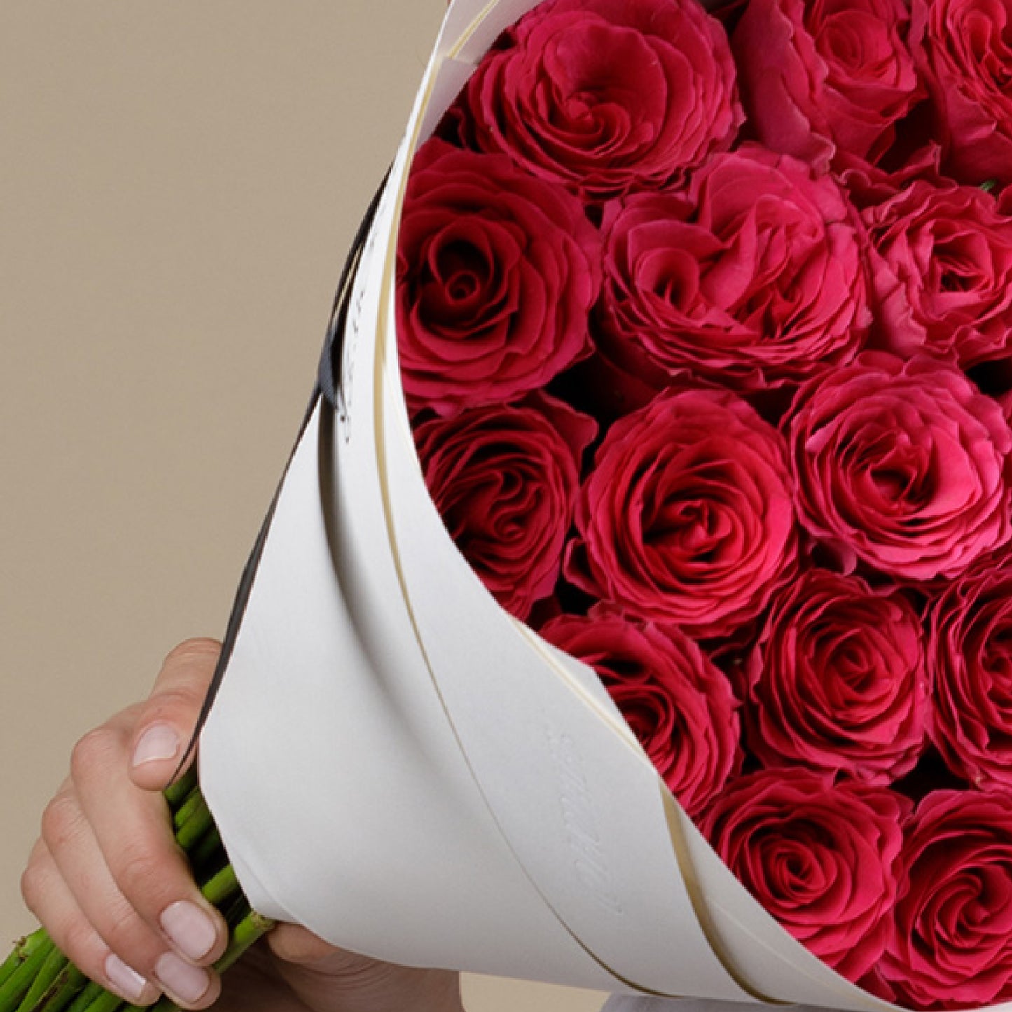 2 Dozen Crazy in Love Roses