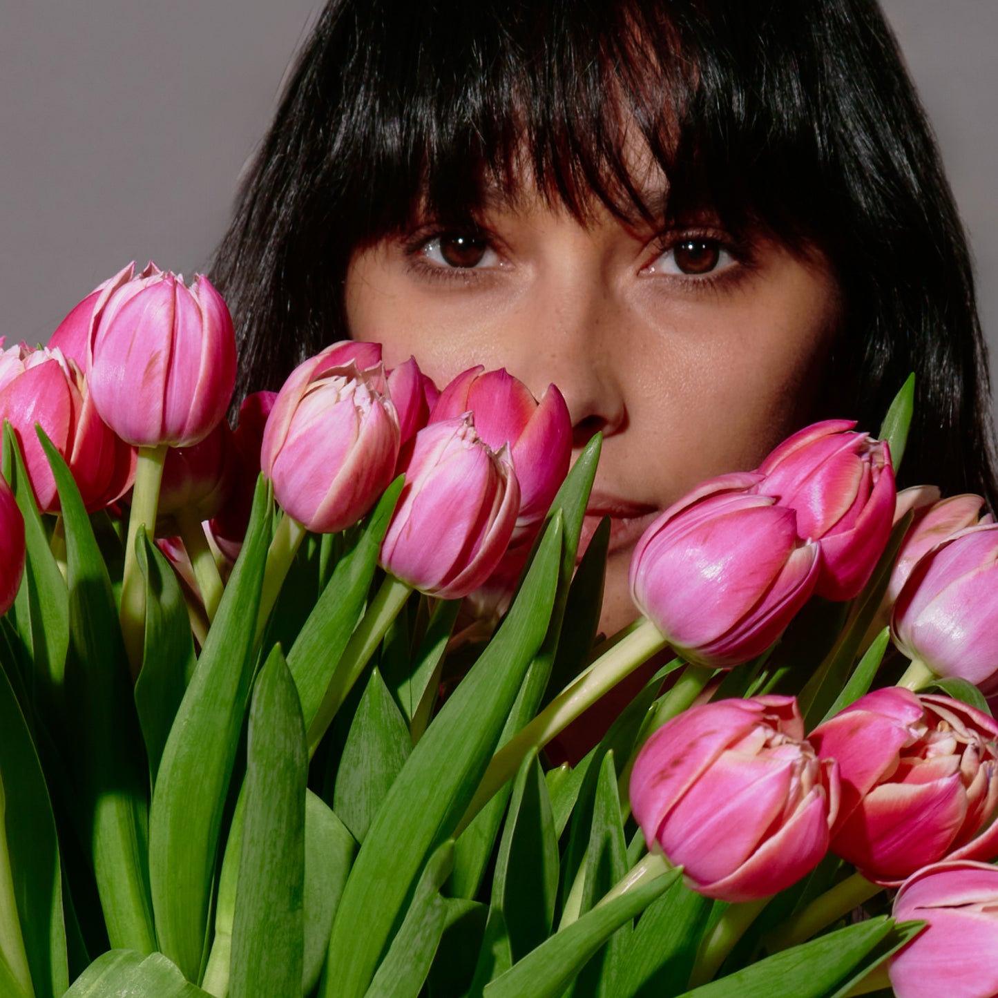 50 Shades of Pink Tulips