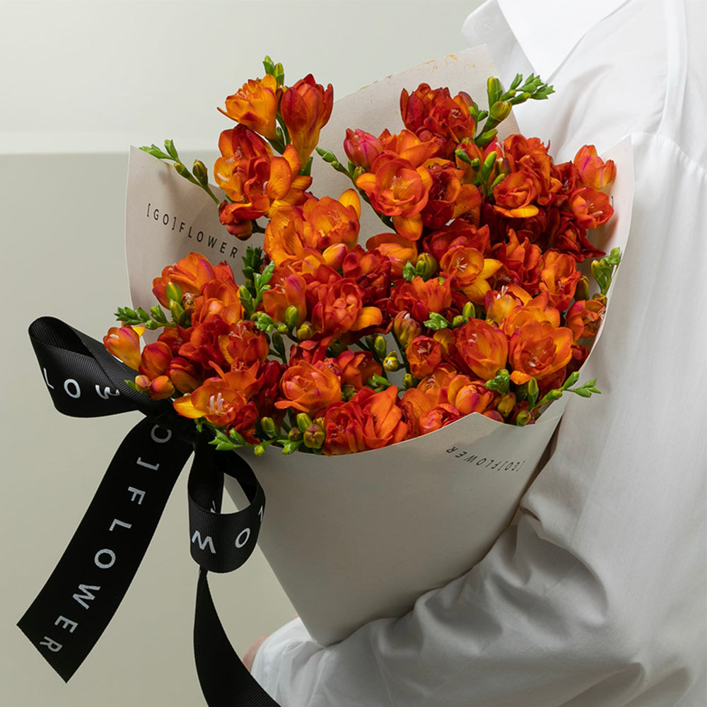 Mandarin Freesia