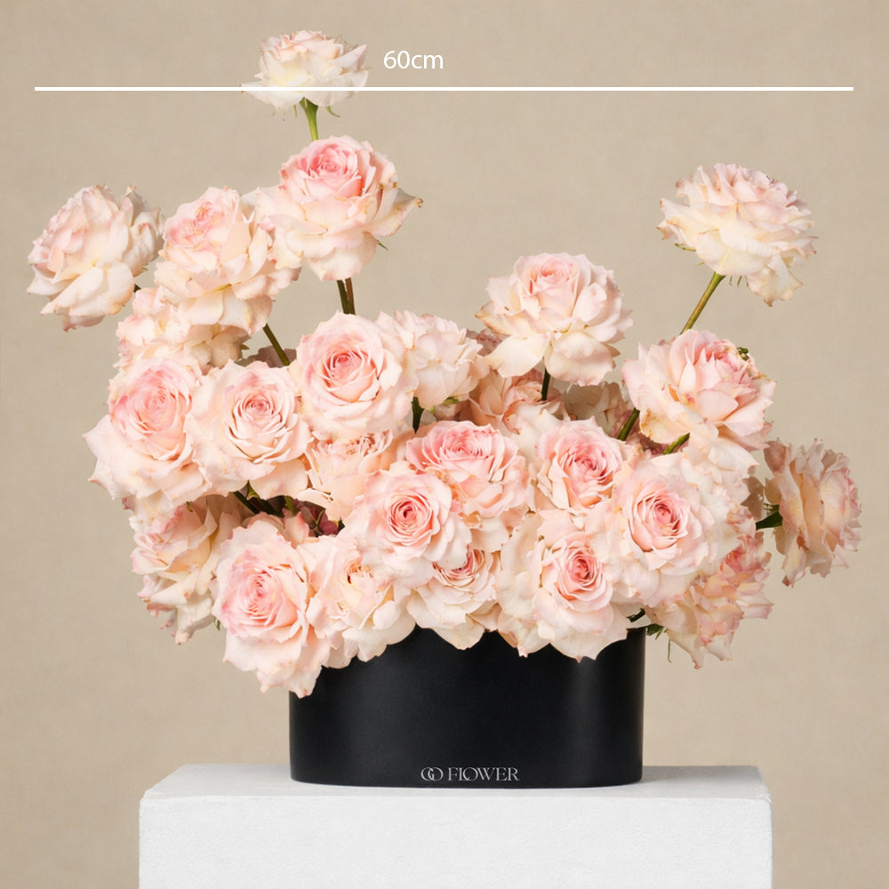 Blush Rose Arrangement (Black Vase)
