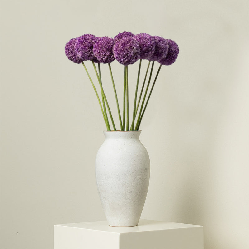 Allium - Purple/Blue Extra Long stem