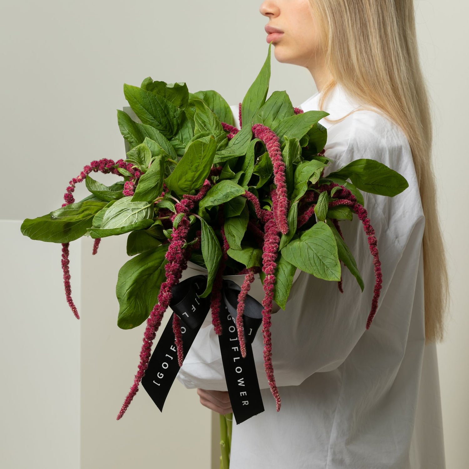Amaranthus