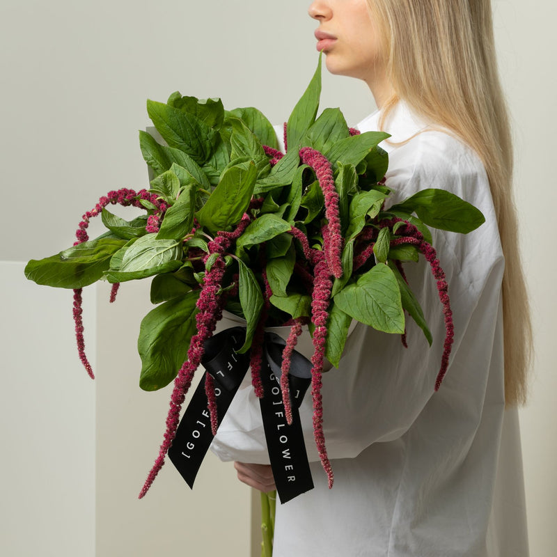 Amaranthus