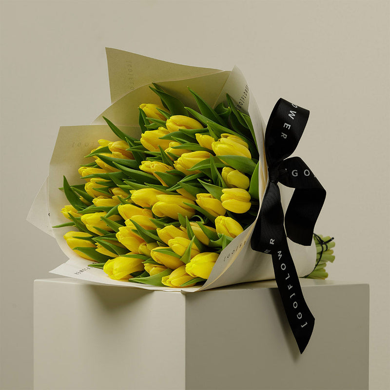 Strong Canary Tulips