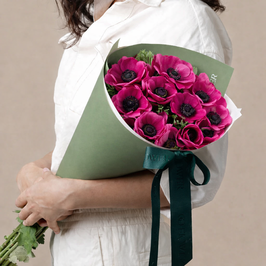 Hot Pink Super Anemone