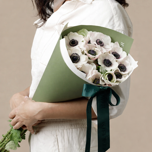 Ecru White Super Anemone