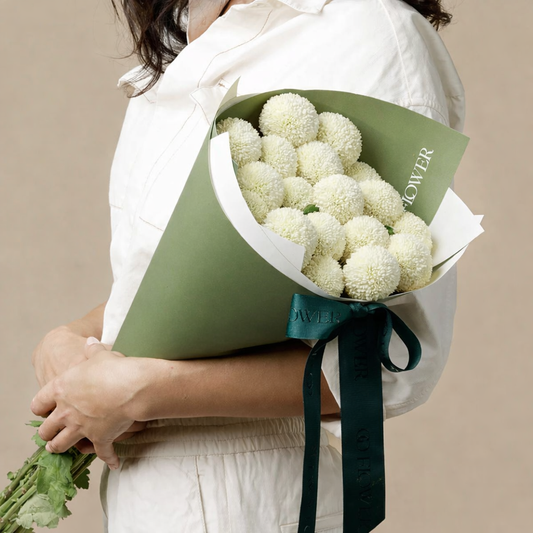 Chrysanthemum Snow Balls