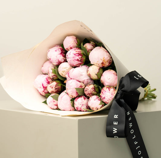 Sarah Bernhardtt Peony