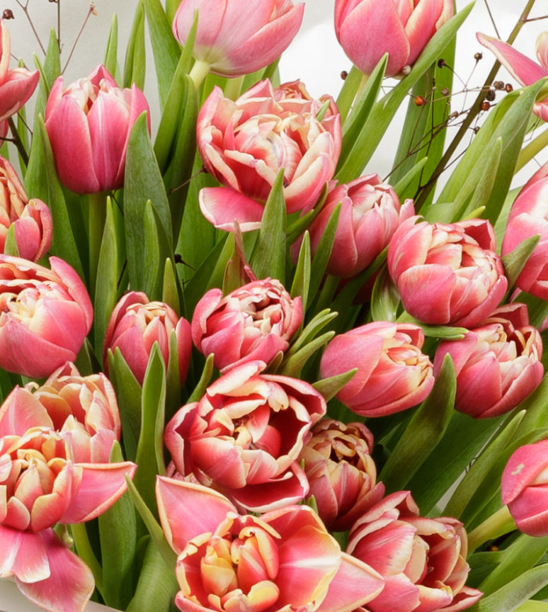 Sticky Hearts - Pink Tulip Bouquet