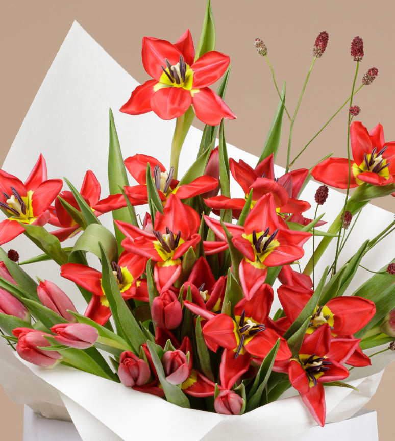 Liquid Love - Red Tulip Bouquet