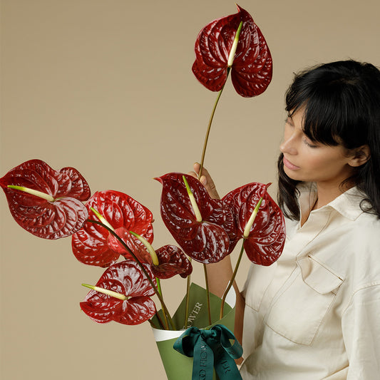 tropical night anthurium