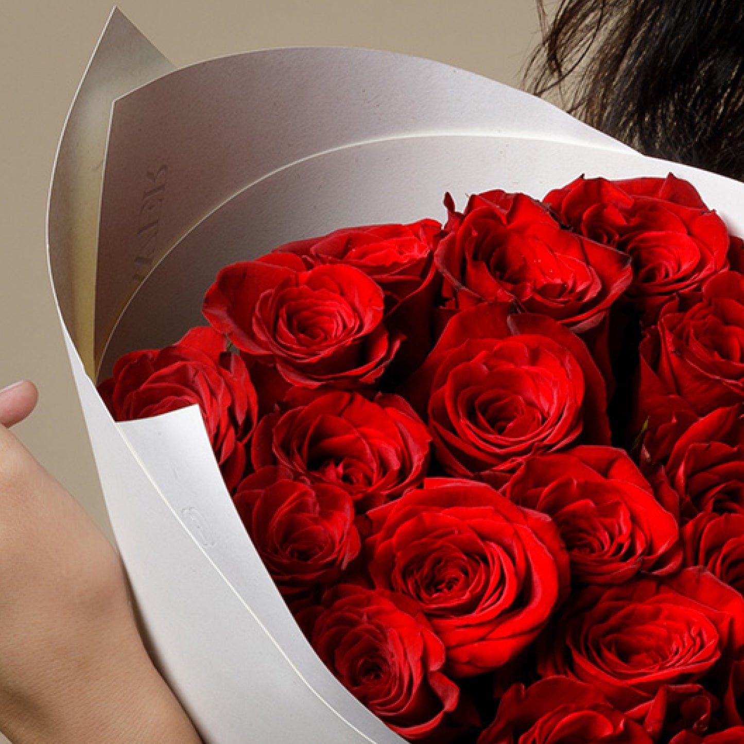 2 Dozen Red Milano Roses