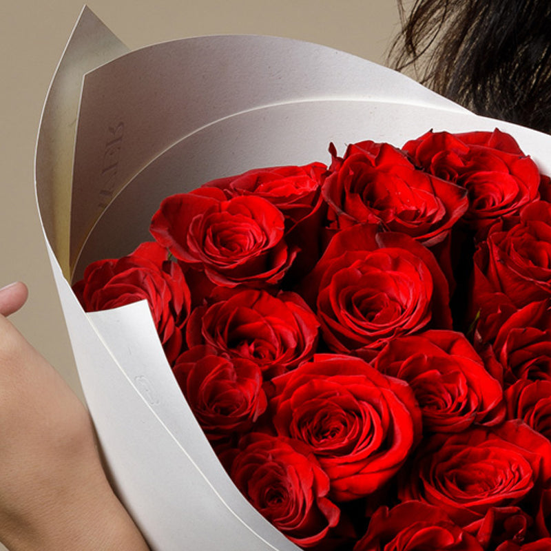 2 Dozen Red Milano Roses