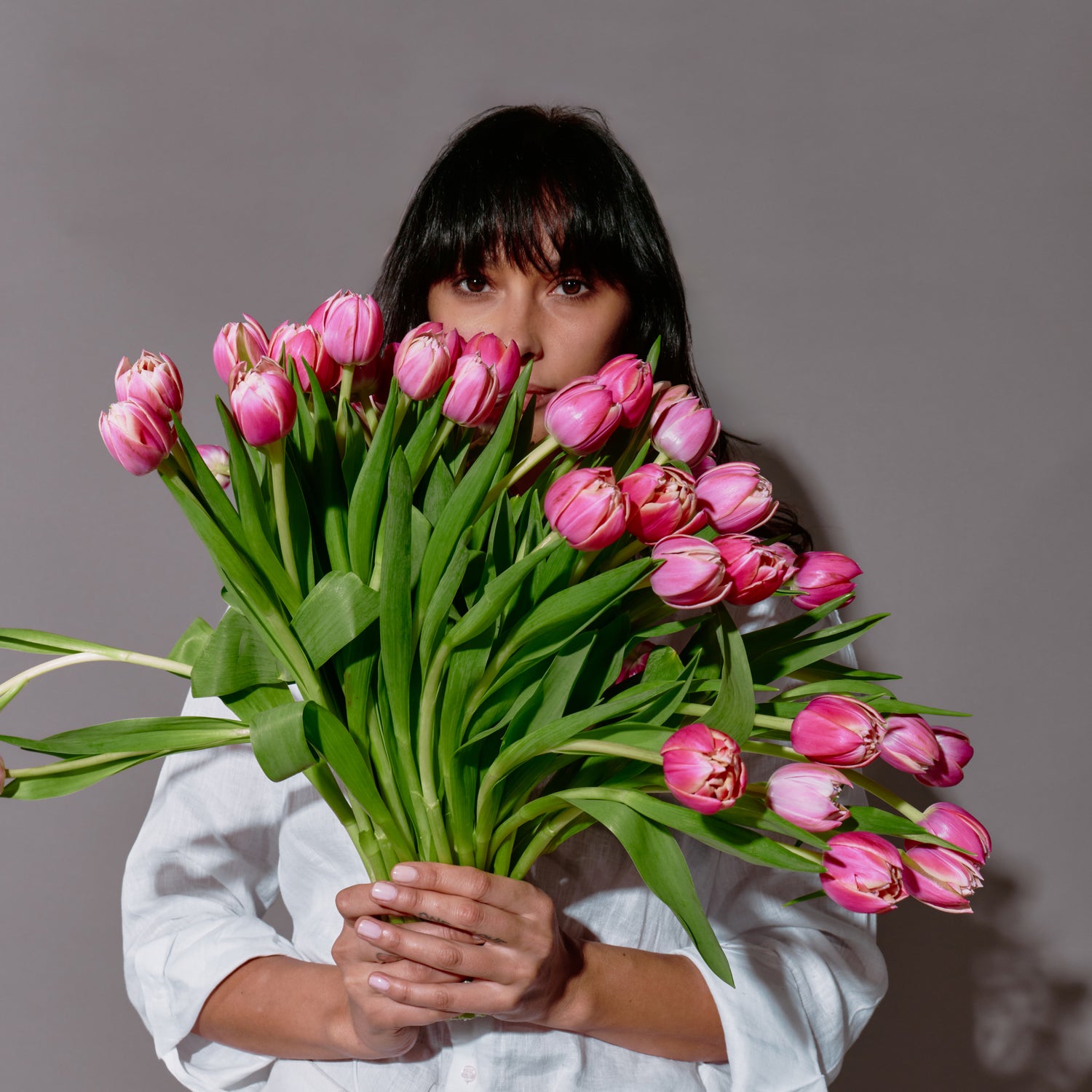 50 Shades of Pink Tulips