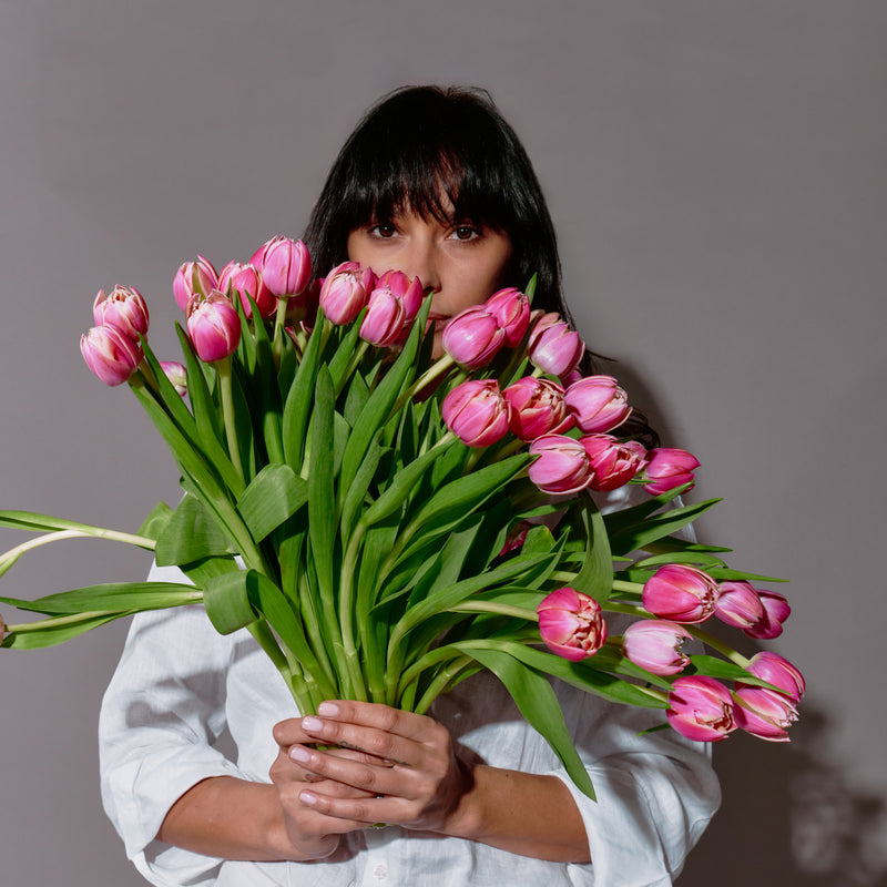 50 Shades of Pink Tulips