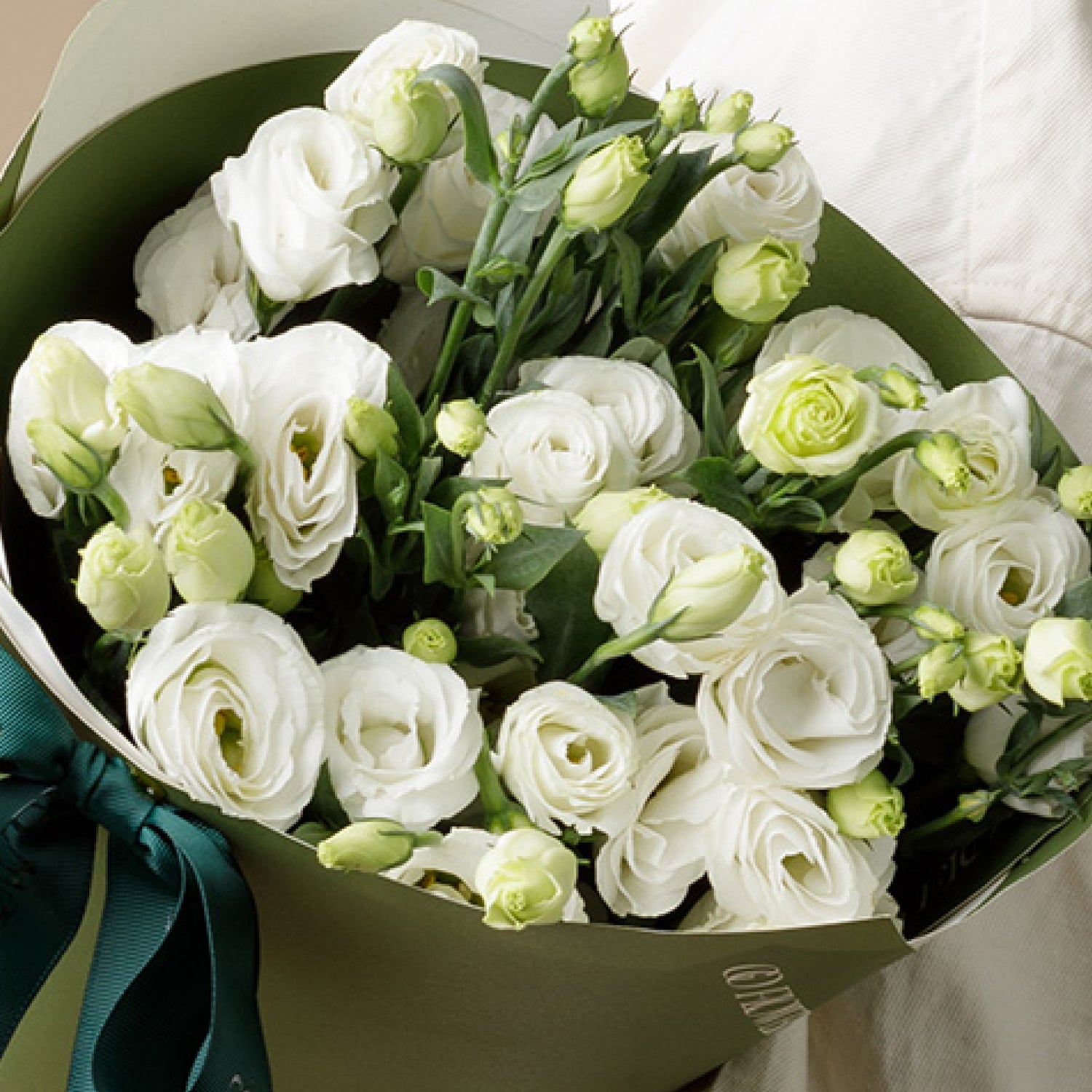 Powder White Lisianthus