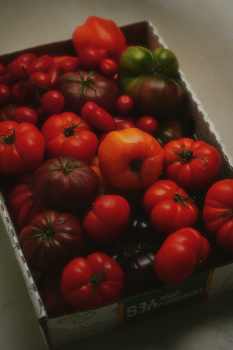 Heirloom tomato candle