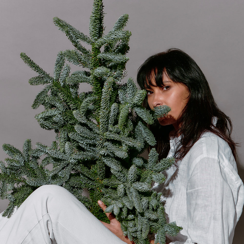 Noblis Festive Branches