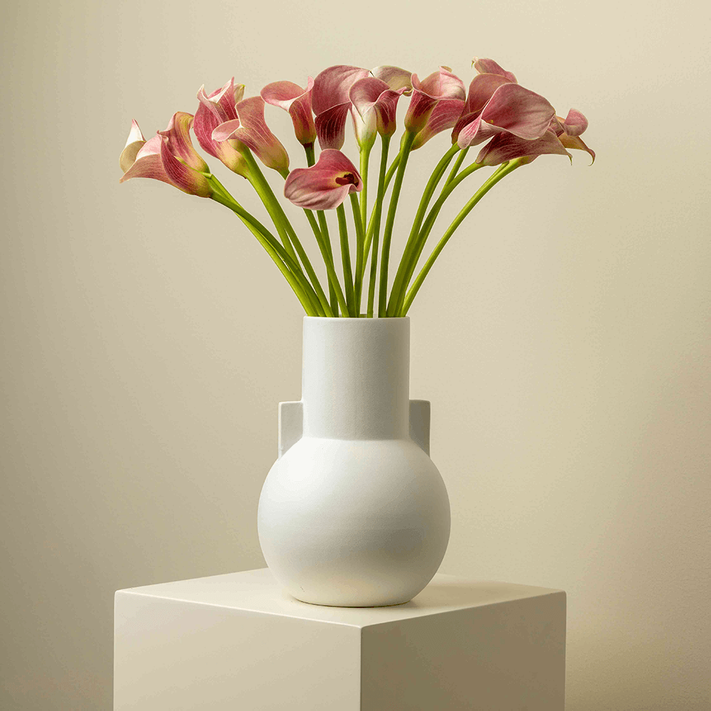 Blush Calla Lilies