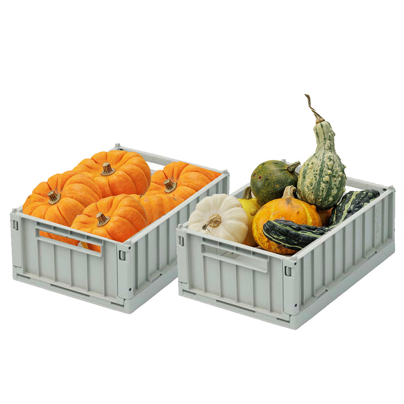 Mini Pumpkin Duo