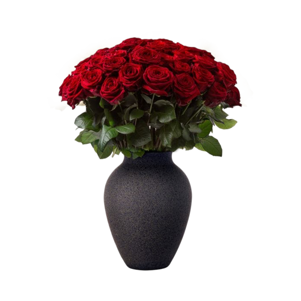 50 Red Milano Roses in Charcoal Ceramic vase