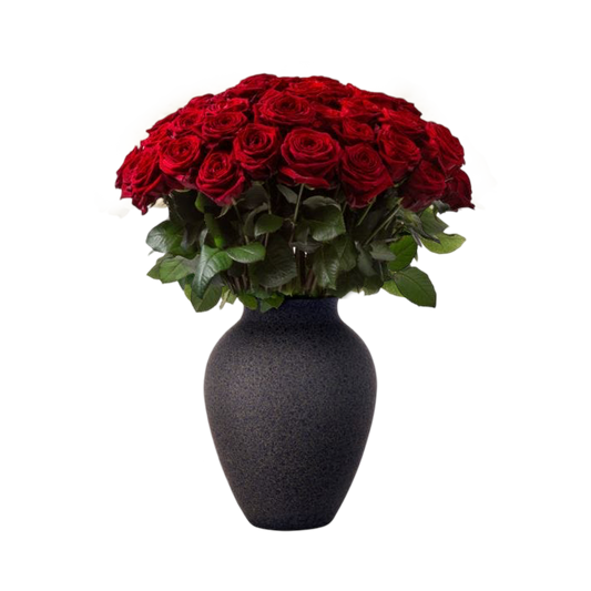 50 Red Milano Roses in Charcoal Ceramic vase