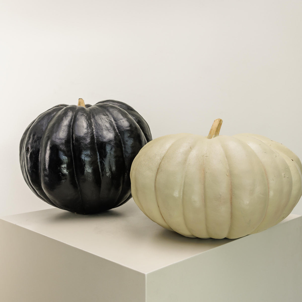 Kelly Pumpkin Duo