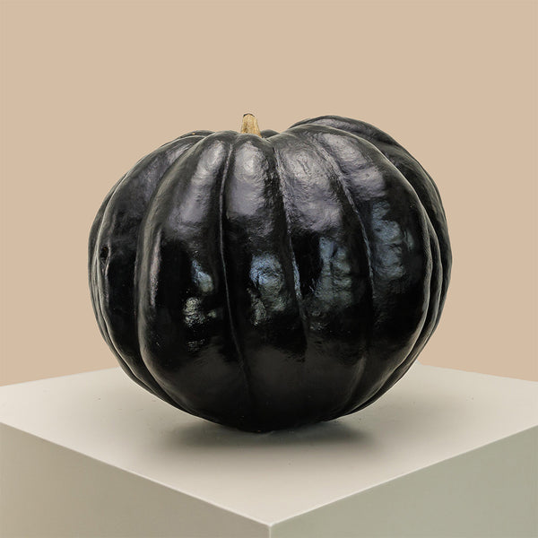 Charcoal Kelly Pumpkin