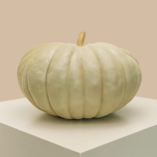 Chalky Beige Kelly Pumpkin