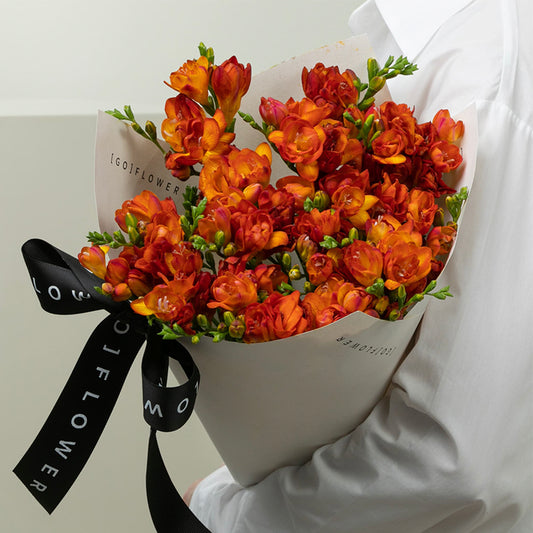 Mandarin Freesia