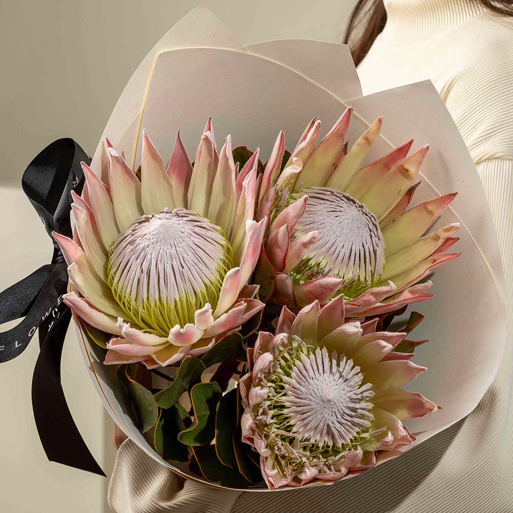 King Protea