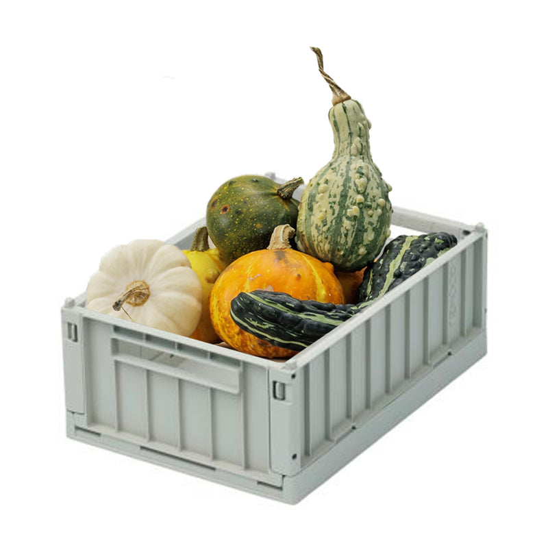 Ugly Pumpkins