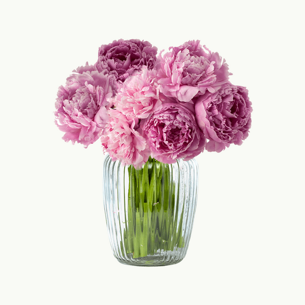 4 week Peony Subscription - Complimentary Signature Vase