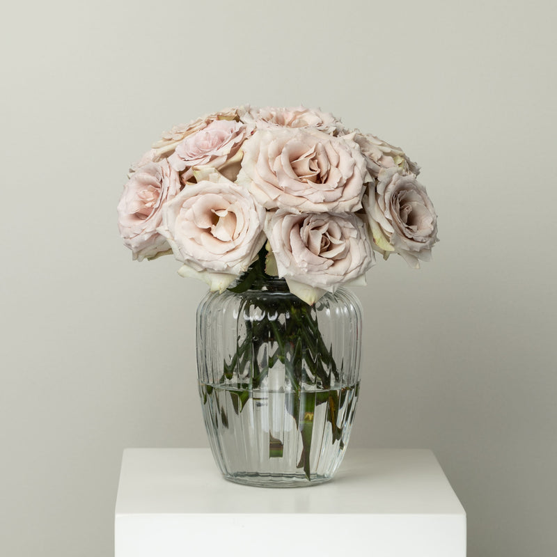 Desert Rose/ 25 Stems