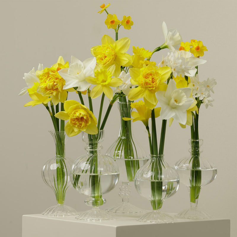 Colour's of Spring Bud Vase Set