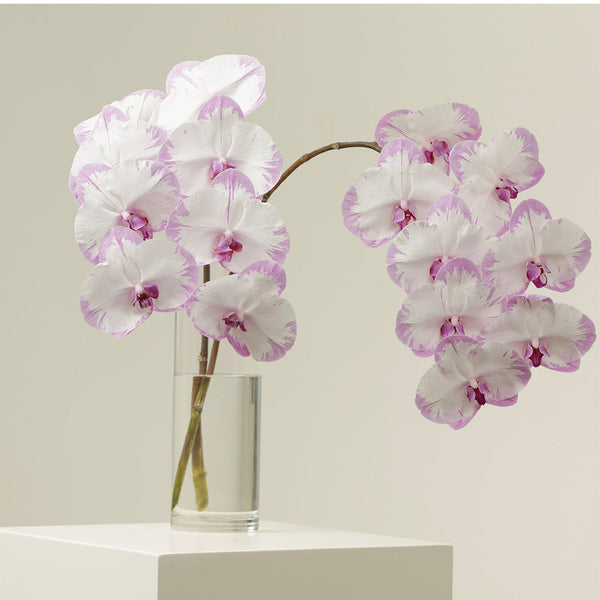 Purple Cow Orchid Stems With Vase