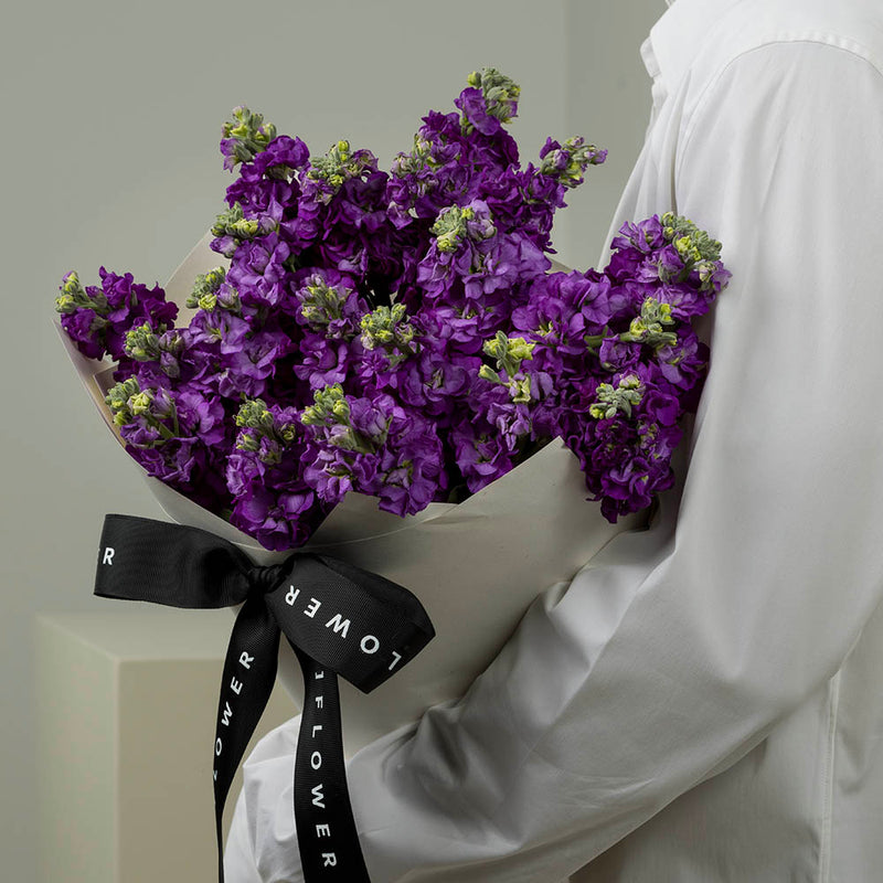 Purple Stocks
