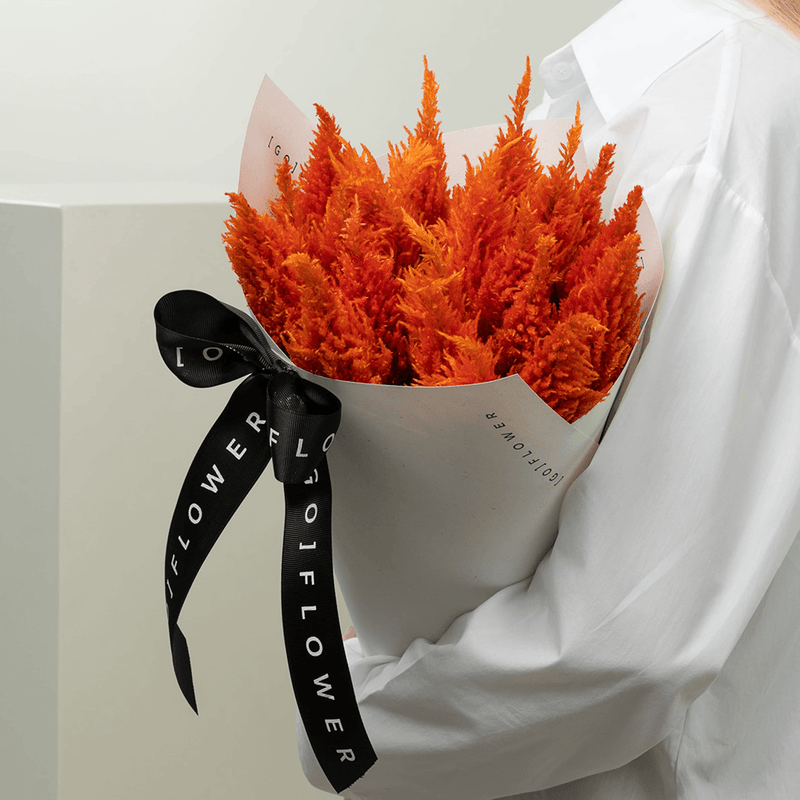 Flames Of Celosia