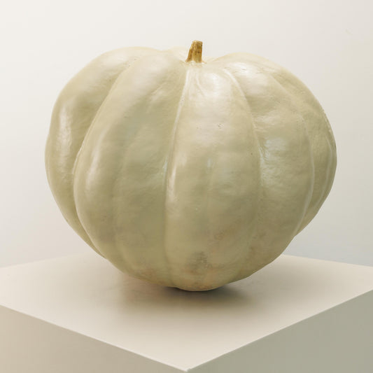 White Pumpkin Kelly (Extra Large)