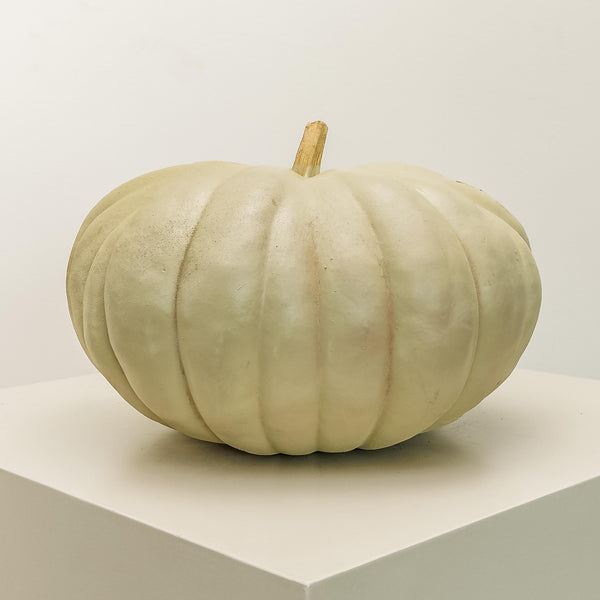 White Pumpkin Kelly (Medium)