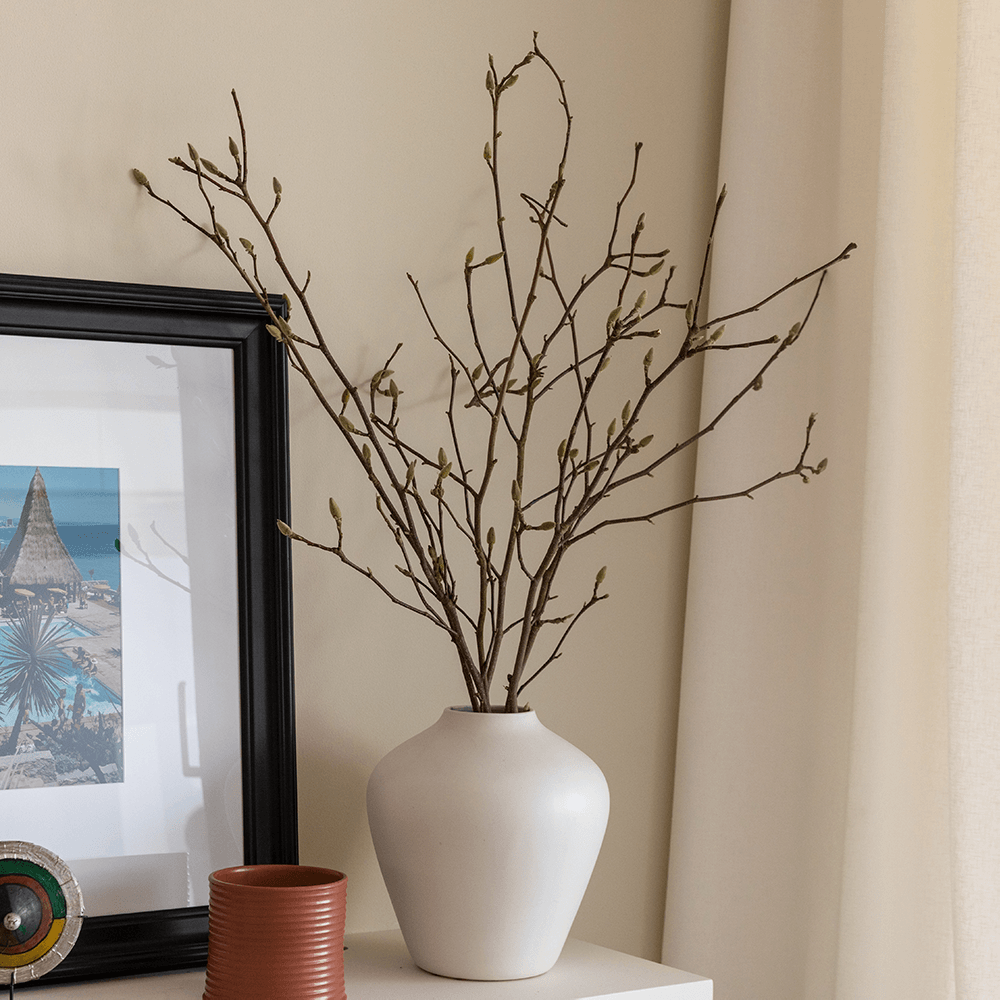 Magnolia Branches