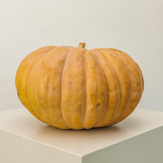 Fairytale Pumpkin Medium