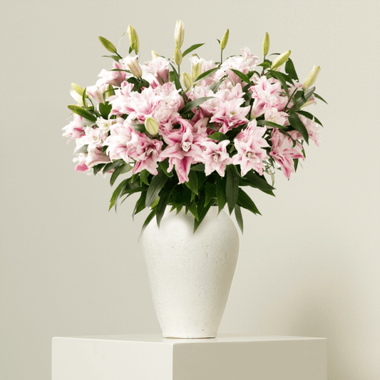 Extreme Double Roselily