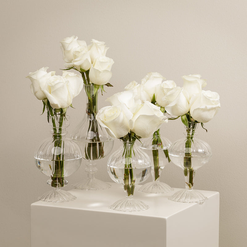Beluga White Vase Set